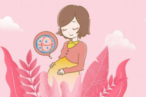 泰國試管嬰兒費(fèi)用是多少？泰國試管嬰兒成功率高嗎？